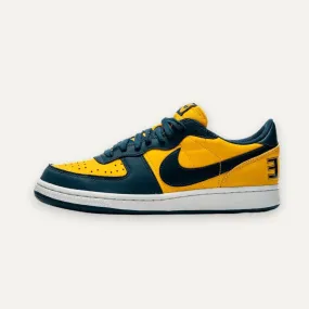 Nike Terminator Low 'Michigan'-