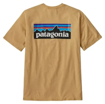 PATAGONIA P6 LOGO RESPONSIBILITEE BRUIN