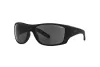 Zonnebril Arnette Heist 2.0 AN 4215 (447/87)