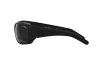 Zonnebril Arnette Heist 2.0 AN 4215 (447/87)